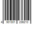 Barcode Image for UPC code 4901301236210. Product Name: Curel Moisture Facial Cream 40g