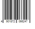 Barcode Image for UPC code 4901872066247. Product Name: Maquillage Dramatic mood veil (Silky) use Case