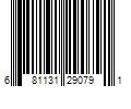 Barcode Image for UPC code 681131290791. Product Name: New Wing Interconnect Technology(Bac Giang)Co. LTD onn. 6  Braided USB-C to Lightning Cable  Black