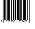 Barcode Image for UPC code 8717306973403