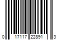 Barcode Image for UPC code 017117228913