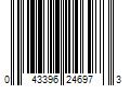 Barcode Image for UPC code 043396246973