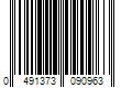 Barcode Image for UPC code 0491373090963