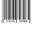 Barcode Image for UPC code 10191907979616