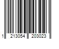 Barcode Image for UPC code 12130542030243