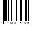 Barcode Image for UPC code 12130906290153