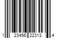 Barcode Image for UPC code 123456223134