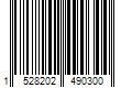 Barcode Image for UPC code 1528202490300