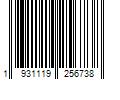 Barcode Image for UPC code 19311192567300