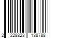 Barcode Image for UPC code 2228823138788