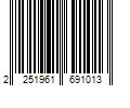 Barcode Image for UPC code 2251961691013