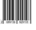 Barcode Image for UPC code 28991389291065