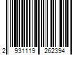 Barcode Image for UPC code 29311192623973