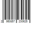 Barcode Image for UPC code 2950857230625