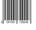 Barcode Image for UPC code 3041091729248