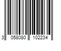 Barcode Image for UPC code 3058080102234