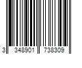 Barcode Image for UPC code 3348901738309