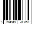 Barcode Image for UPC code 3384349203818