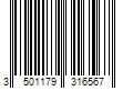 Barcode Image for UPC code 3501179316567