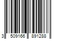 Barcode Image for UPC code 3509166891288