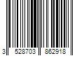 Barcode Image for UPC code 3528703862918