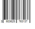 Barcode Image for UPC code 3603625763137