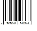 Barcode Image for UPC code 3606000531673