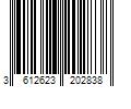 Barcode Image for UPC code 3612623202838