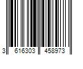 Barcode Image for UPC code 3616303458973