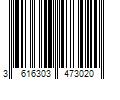 Barcode Image for UPC code 3616303473020