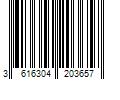 Barcode Image for UPC code 3616304203657