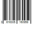 Barcode Image for UPC code 3616305160959