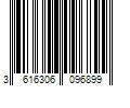 Barcode Image for UPC code 3616306096899