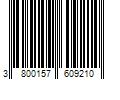 Barcode Image for UPC code 3800157609210