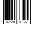 Barcode Image for UPC code 3822234381253