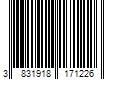 Barcode Image for UPC code 3831918171226