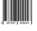 Barcode Image for UPC code 3857297909243