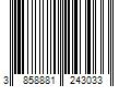 Barcode Image for UPC code 3858881243033