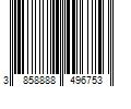 Barcode Image for UPC code 3858888496753