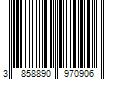 Barcode Image for UPC code 3858890970906