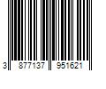 Barcode Image for UPC code 3877137951621