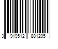 Barcode Image for UPC code 3919512881205