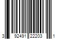 Barcode Image for UPC code 392491222031