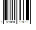 Barcode Image for UPC code 3953434163810