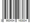 Barcode Image for UPC code 3953434163834