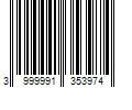 Barcode Image for UPC code 3999991353974