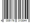 Barcode Image for UPC code 4005176313844