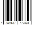 Barcode Image for UPC code 40076174738061