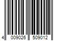 Barcode Image for UPC code 4009026509012