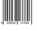 Barcode Image for UPC code 4009932137606